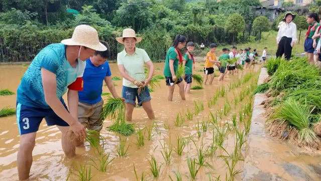 劳作项目学生们的着手才能创新意识和责任担任得到了全面提高 劳作项目学生们的着手才能创新意识和责任担任得到了全面提高