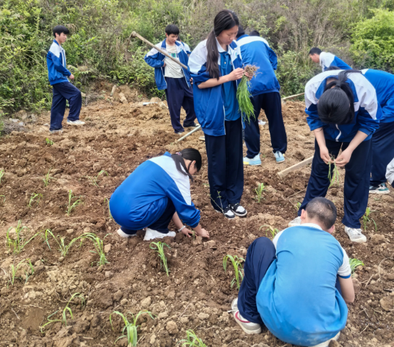 搭建实景讲堂实时收集学生劳作数据用智